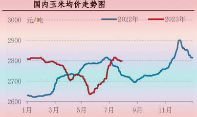 7月肉雞市場行情分析及8月行情預測 飼料成本與玉米種植的聯動視角