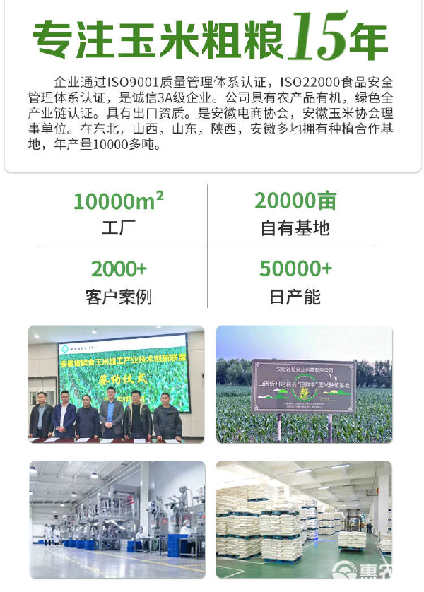 東北新季熟黑芝麻與玉米種植 粗糧工廠直供批發的健康雙引擎